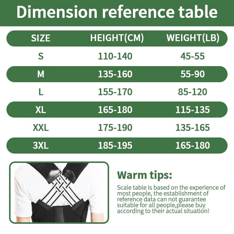 Adjustable Back Posture Belt – Office & Gym, Unisex, S–XXXL - Posture Corrector - Apex Therapy