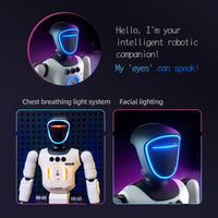 Programmable humanoid robot shown from the front