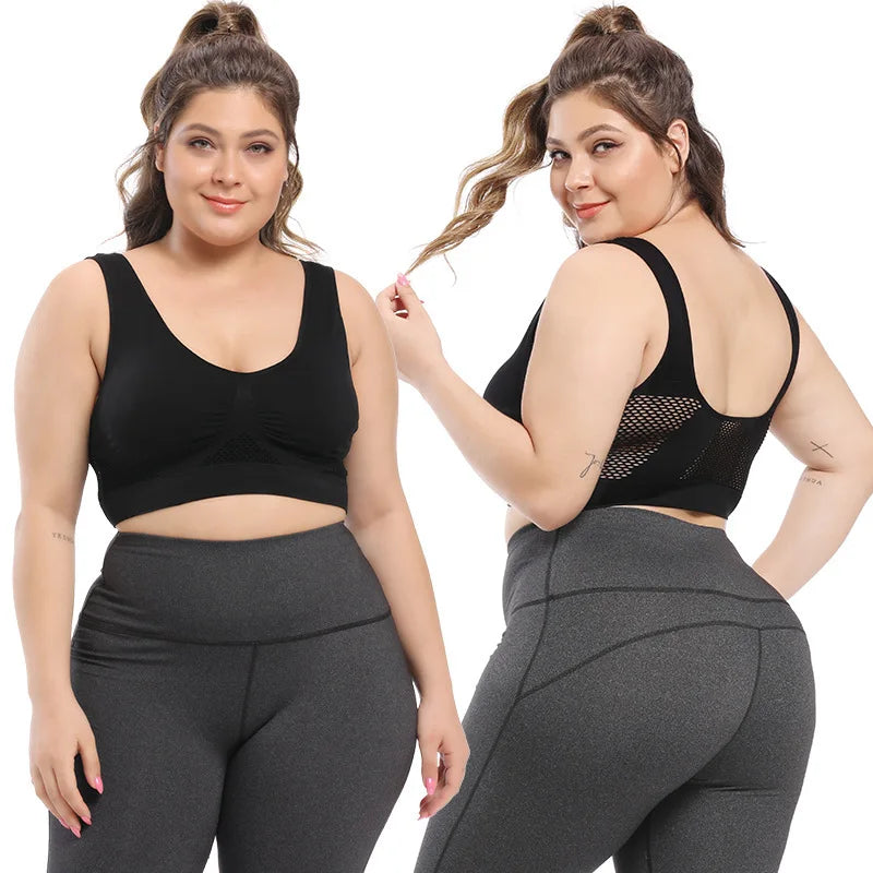 Women's sports bra shown from the back