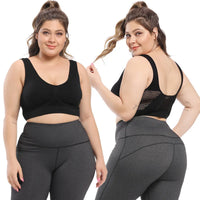Women's sports bra shown from the back