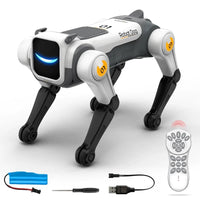 Robot dog shown with remote control