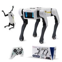 Robot dog controlled through the mobile app