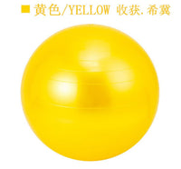65 cm smooth exercise ball – Apex Therapy, view 11