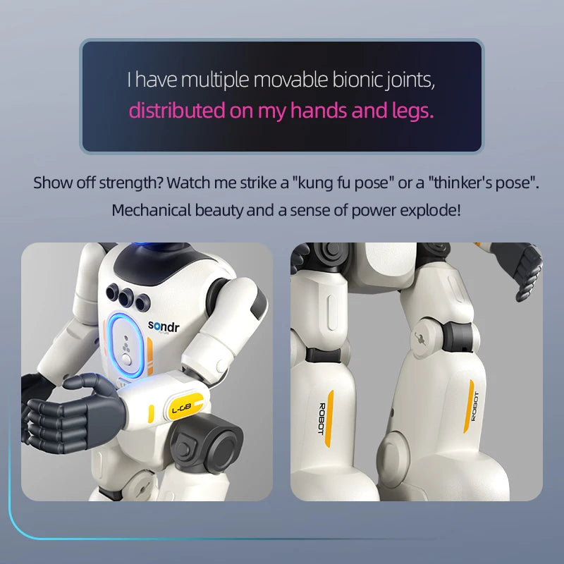 Programmable humanoid robot shown with packaging