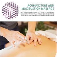 Acupressure Mat & Pillow Set – Back, Neck & Muscle Tension Relief - Acupressure Mat - Apex Therapy