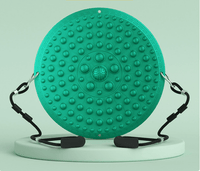 Acupressure Waist Twisting Disc – Optional Pull Ropes, 4 Colors - Twisting Disc - Apex Therapy