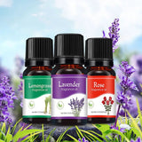 Water-Soluble Humidifier Aroma Oil – 18 Scents
