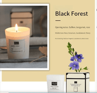 Aromatherapy Soy Wax Candle – 4 Signature Scents - Candle - Apex Therapy