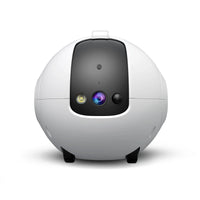 Mobile app interface for the indoor camera
