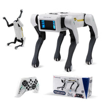 Interactive AI Robot Dog – App Control, Voice Dialogue & Programming - Apex Therapy
