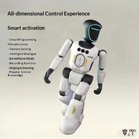 Programmable Humanoid Robot – Gesture Sensing & Remote Control - Apex Therapy