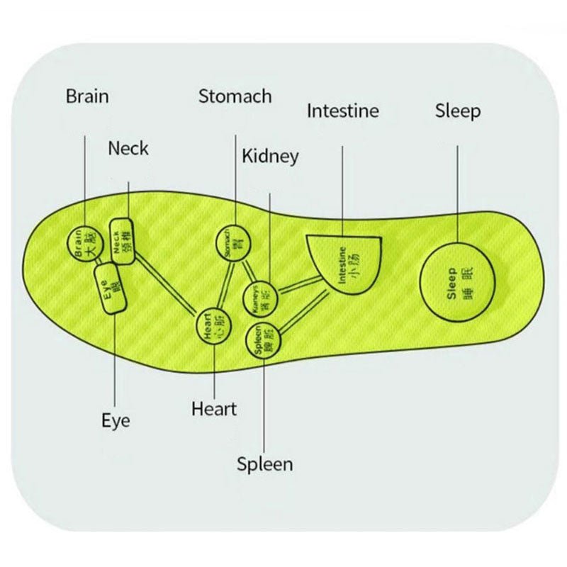 Wormwood-Infused Insoles – Breathable, Sweat-Absorbing, Grey or Green - Insoles - Apex Therapy