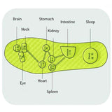 Wormwood-Infused Insoles – Breathable, Sweat-Absorbing, Grey or Green