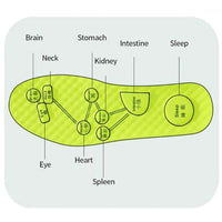 Wormwood-Infused Insoles – Breathable, Sweat-Absorbing, Grey or Green - Insoles - Apex Therapy